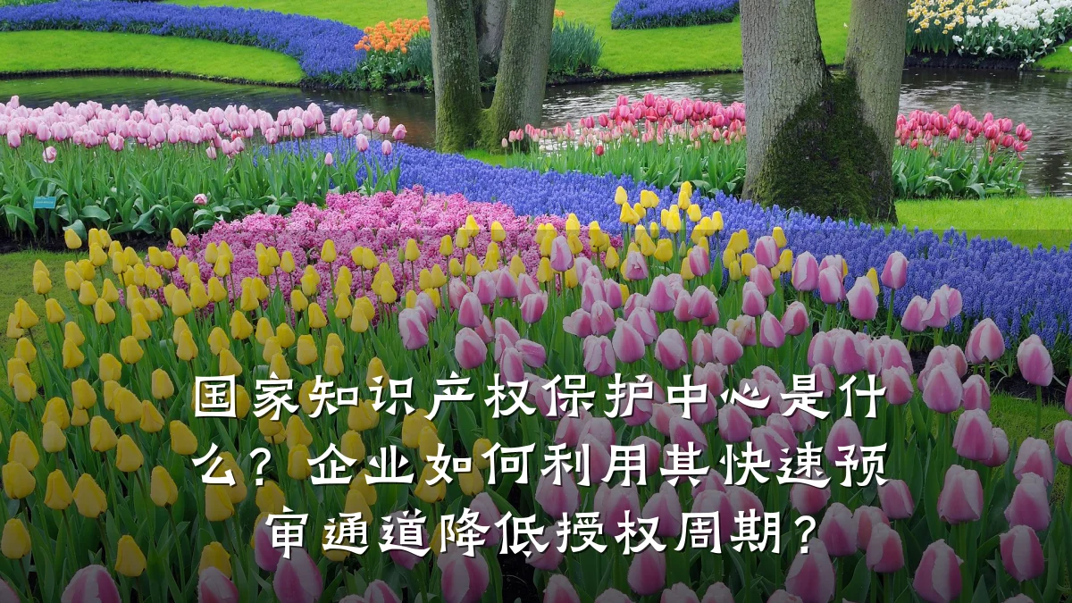 国家知识产权保护中心是什么?企业如何利用其快速预审通道降低授权周期?
