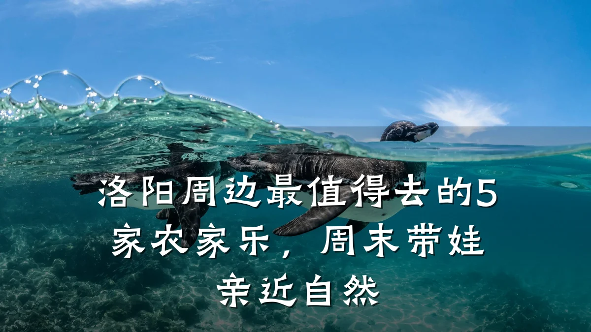 洛阳周边最值得去的5家农家乐，周末带娃亲近自然