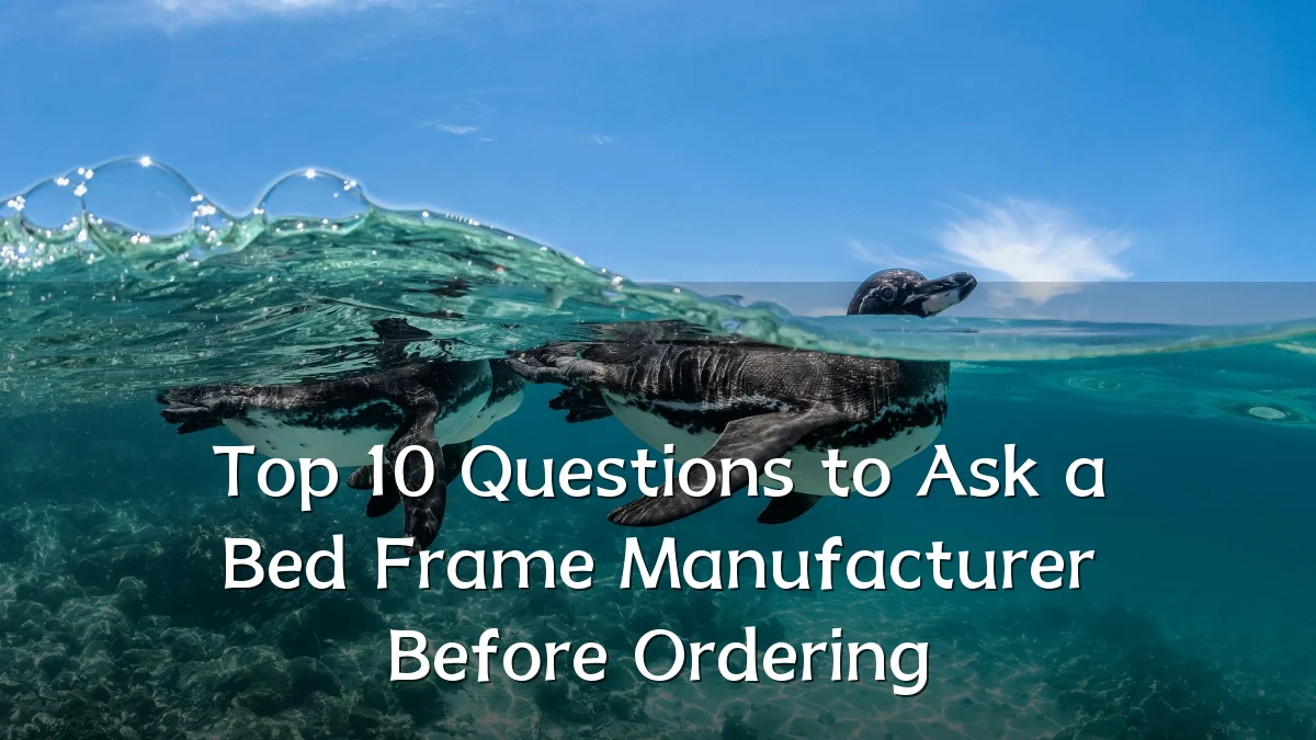 Top 10 Questions to Ask a Bed Frame Manufacturer Before Ordering