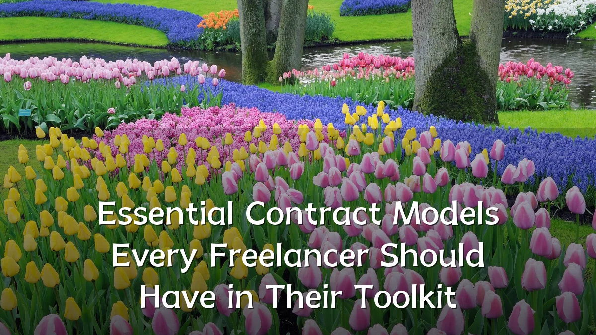 Essential Contract Models Every Freelancer Should Have in Their Toolkit