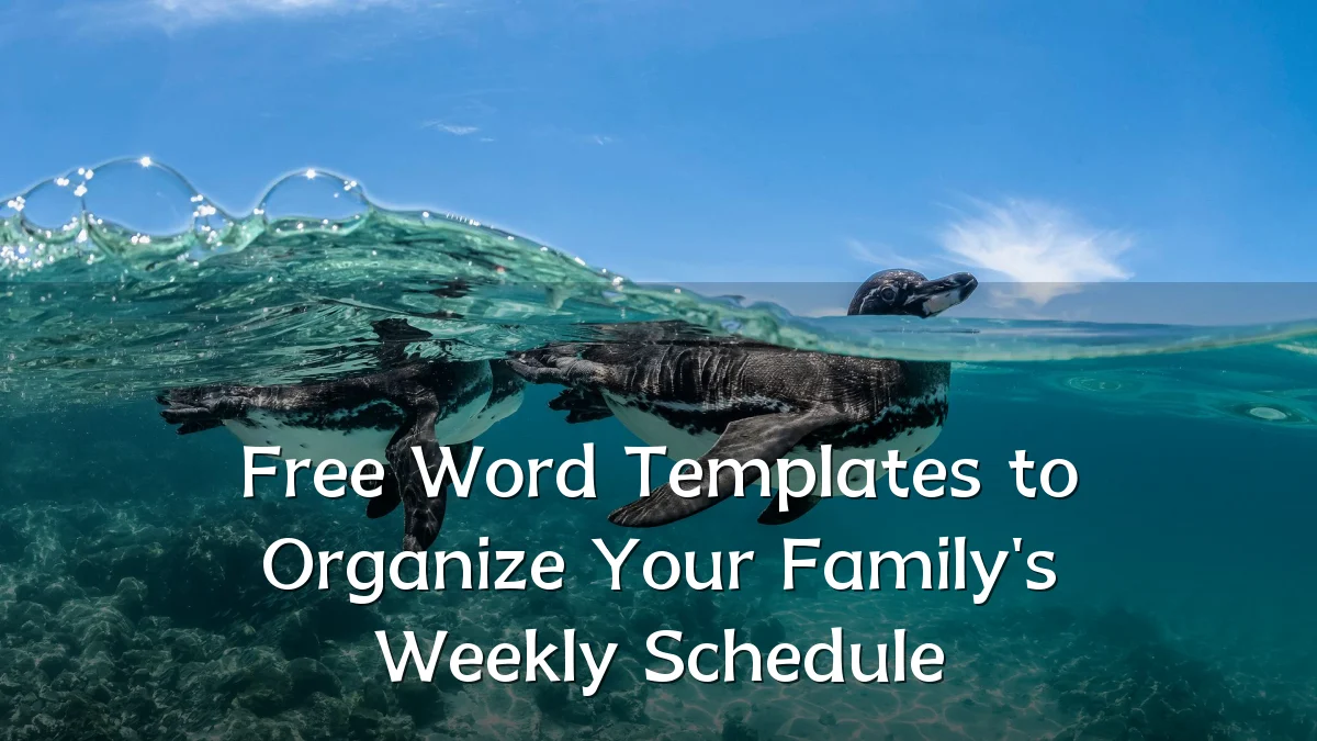 Free Word Templates to Organize Your Family's Weekly Schedule