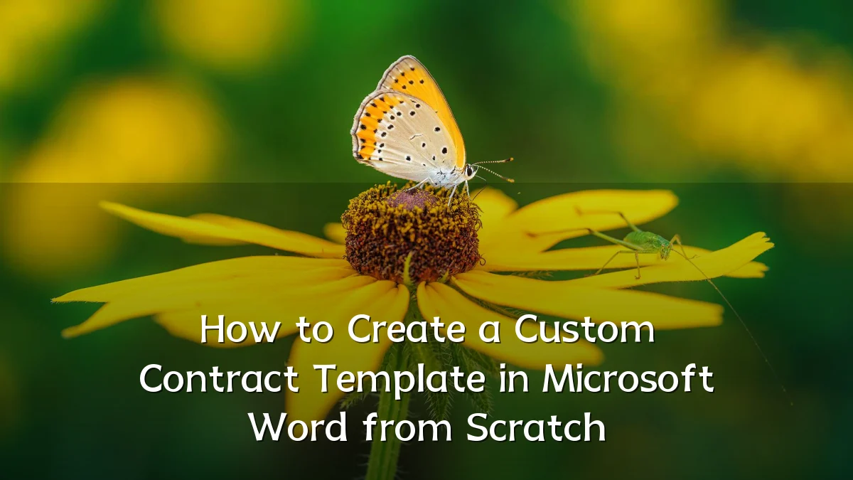 How to Create a Custom Contract Template in Microsoft Word from Scratch