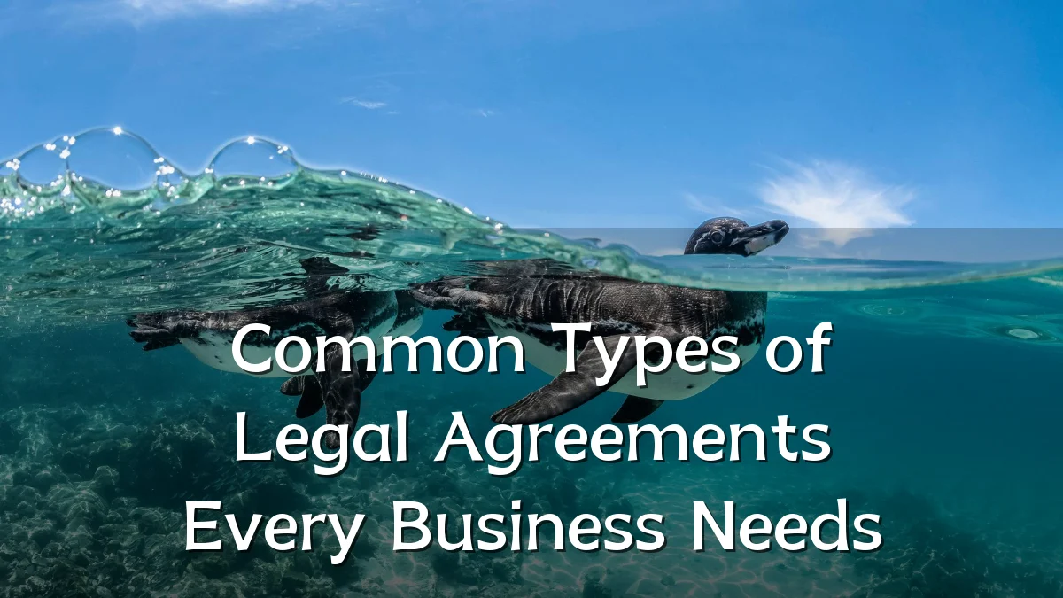 Common Types of Legal Agreements Every Business Needs