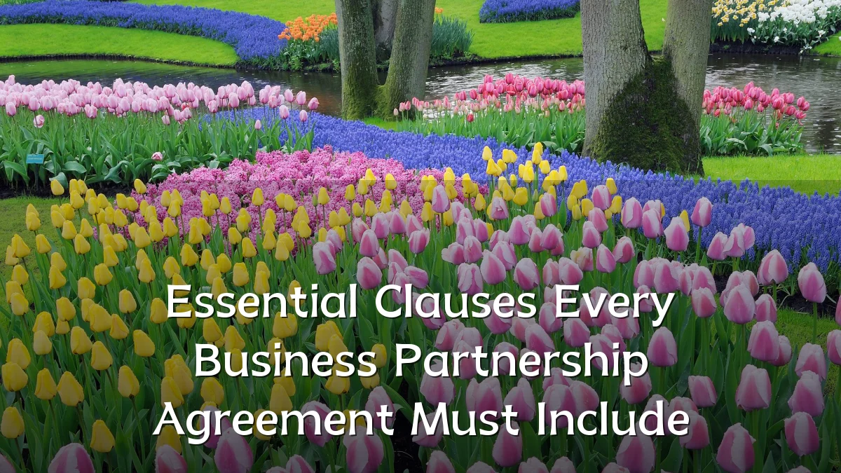 Essential Clauses Every Business Partnership Agreement Must Include