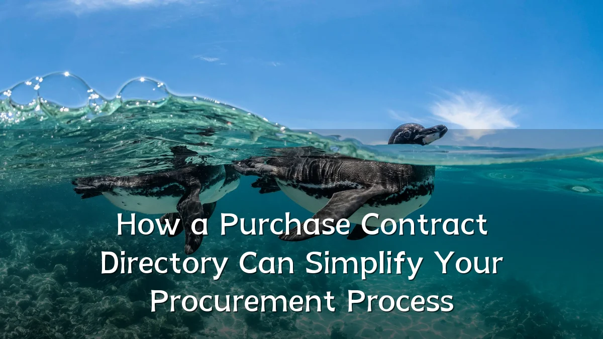 How a Purchase Contract Directory Can Simplify Your Procurement Process