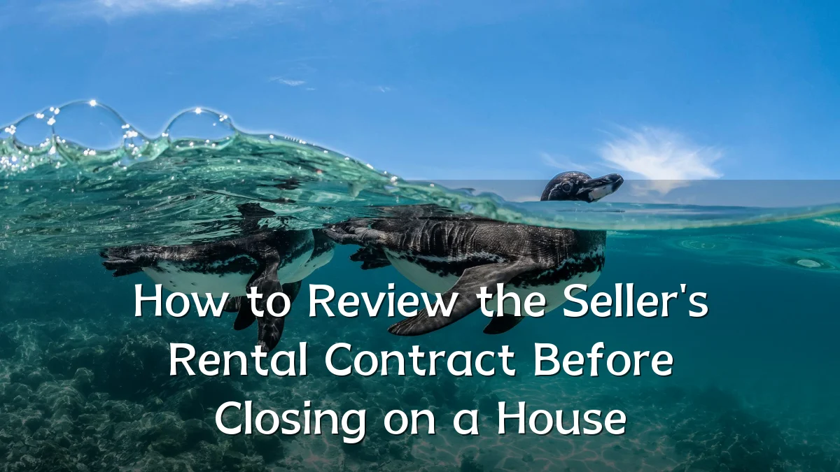 How to Review the Seller's Rental Contract Before Closing on a House