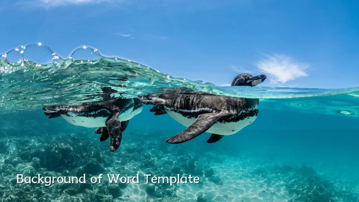 Background of Word Template