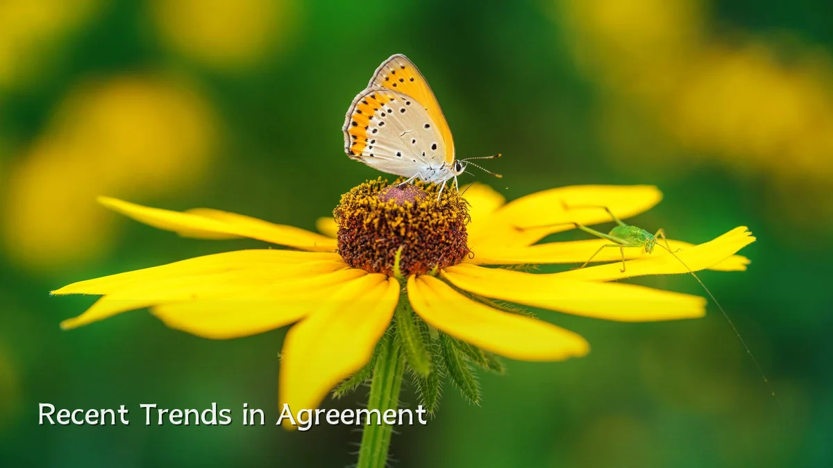 Recent Trends in Agreement