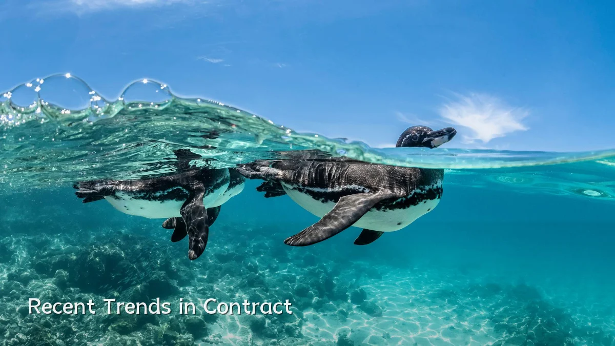 Recent Trends in Contract