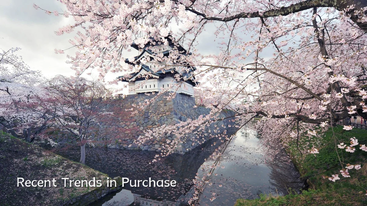 Recent Trends in Purchase