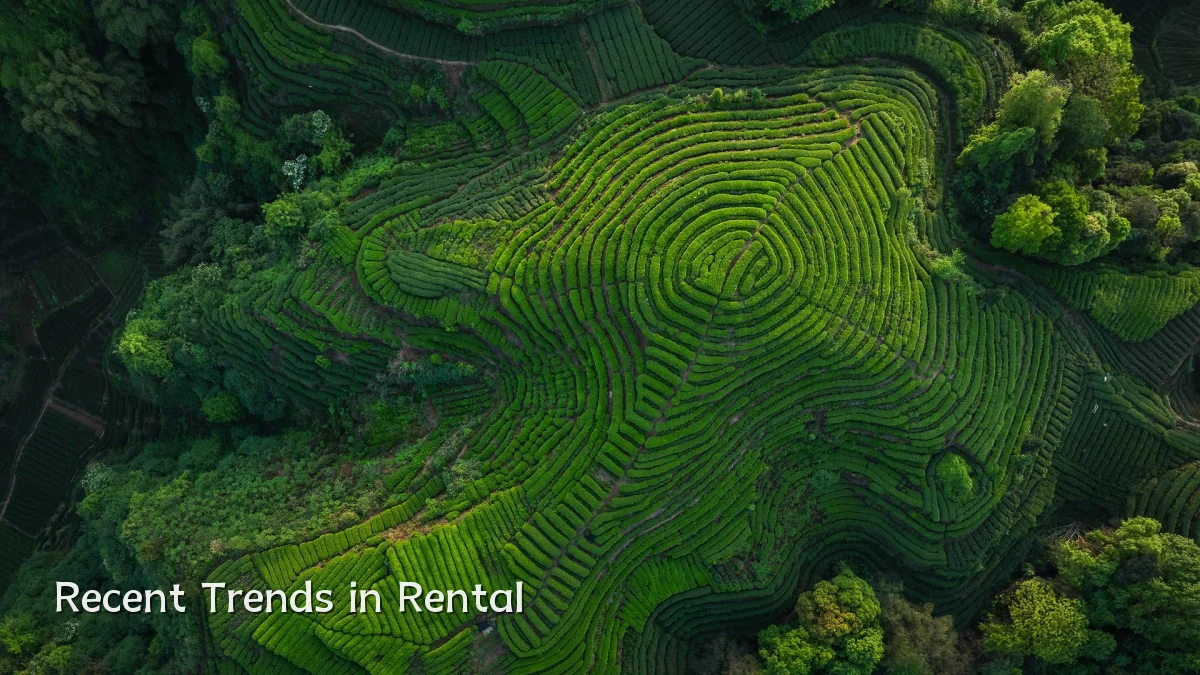 Recent Trends in Rental