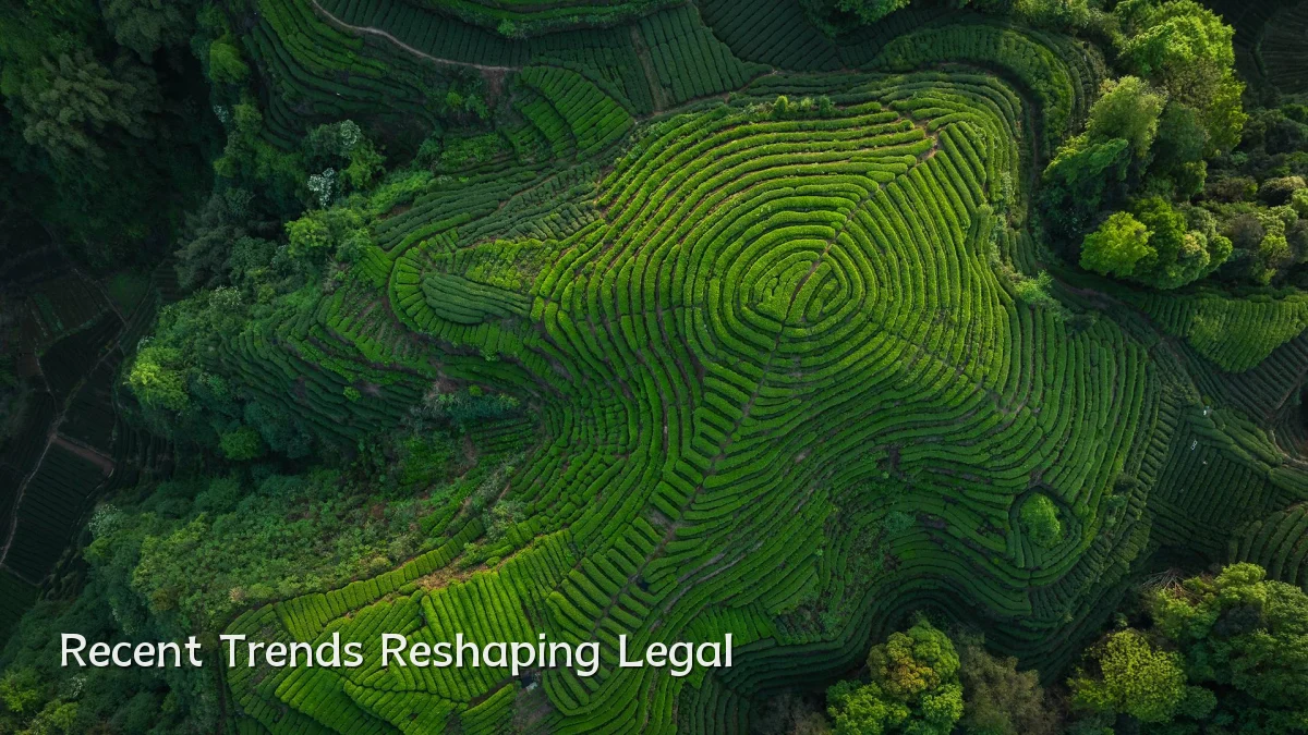 Recent Trends Reshaping Legal