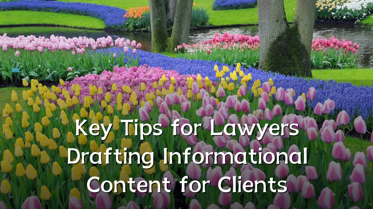 Key Tips for Lawyers Drafting Informational Content for Clients