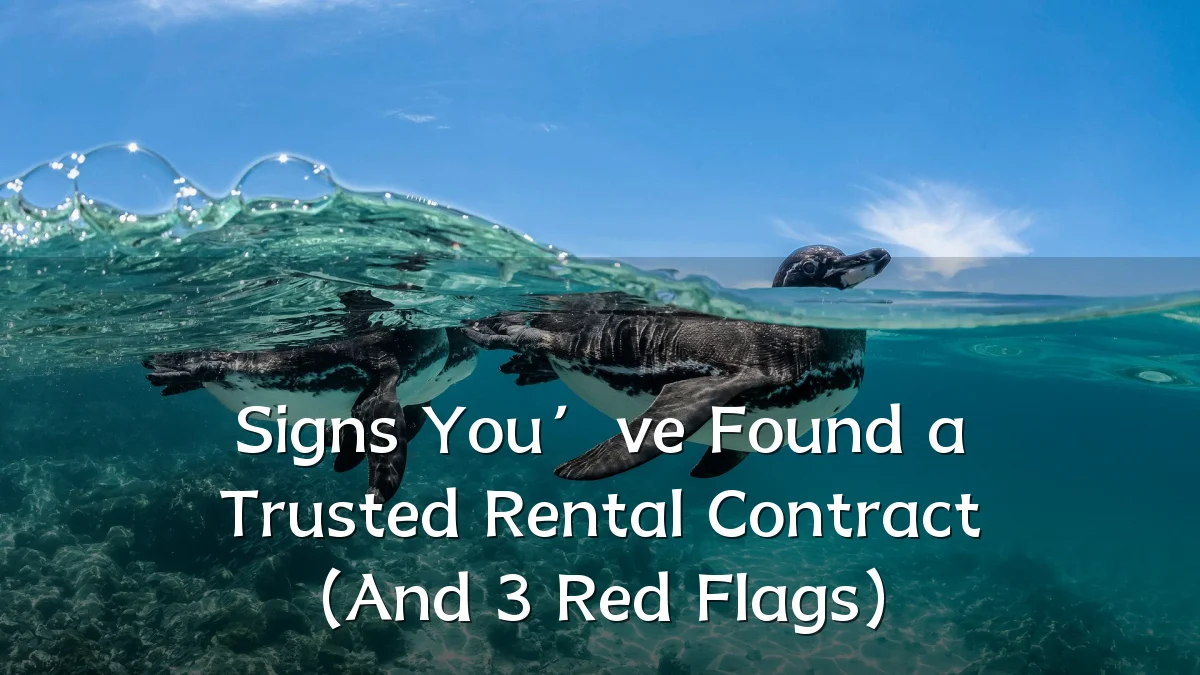 Signs You’ve Found a Trusted Rental Contract (And 3 Red Flags)