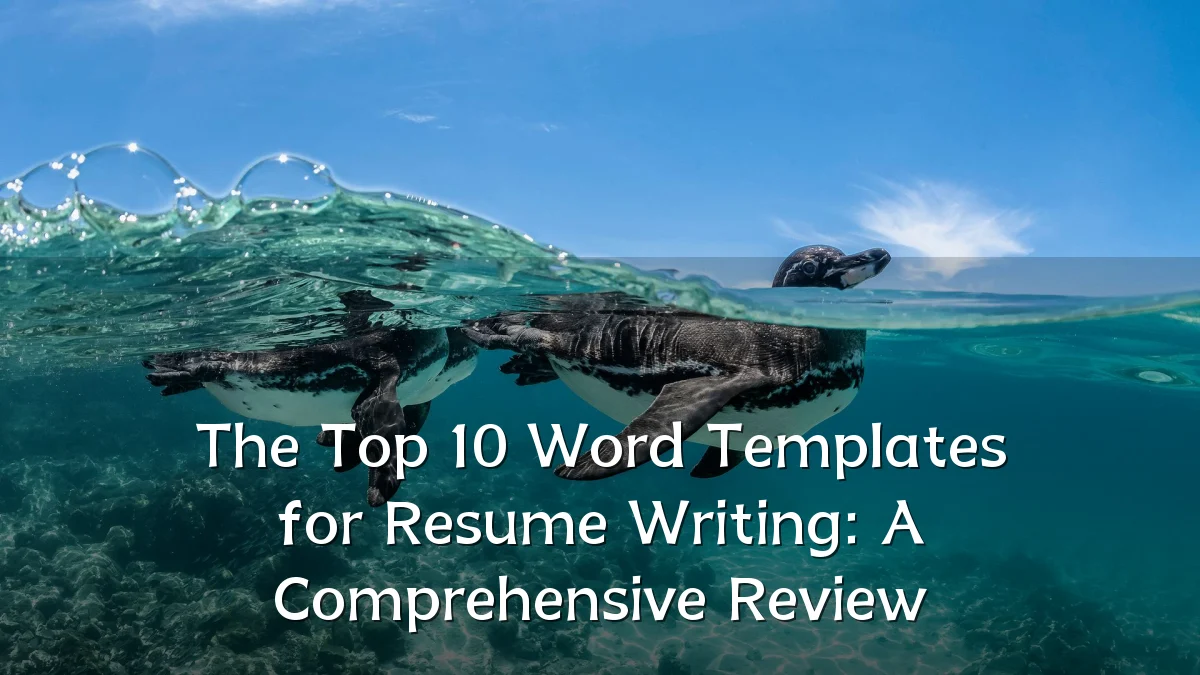 The Top 10 Word Templates for Resume Writing: A Comprehensive Review