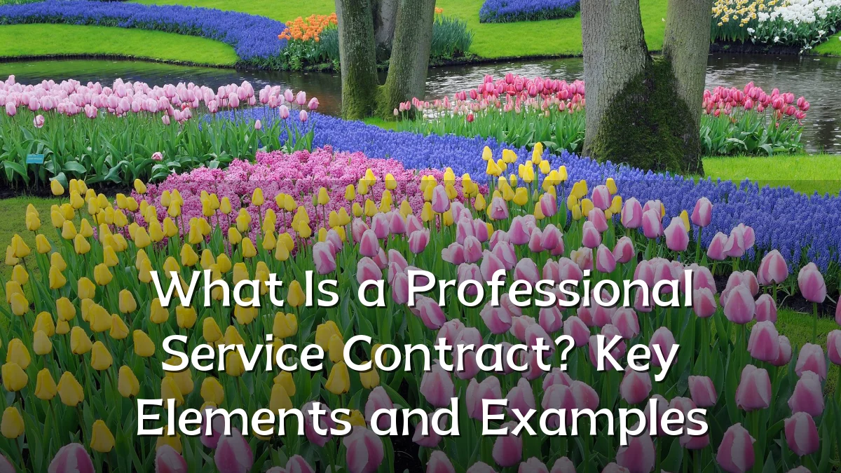 What Is a Professional Service Contract? Key Elements and Examples