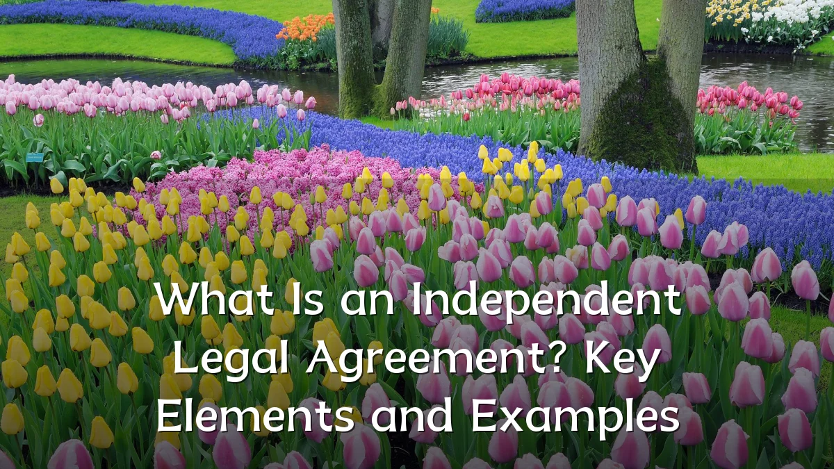 What Is an Independent Legal Agreement? Key Elements and Examples