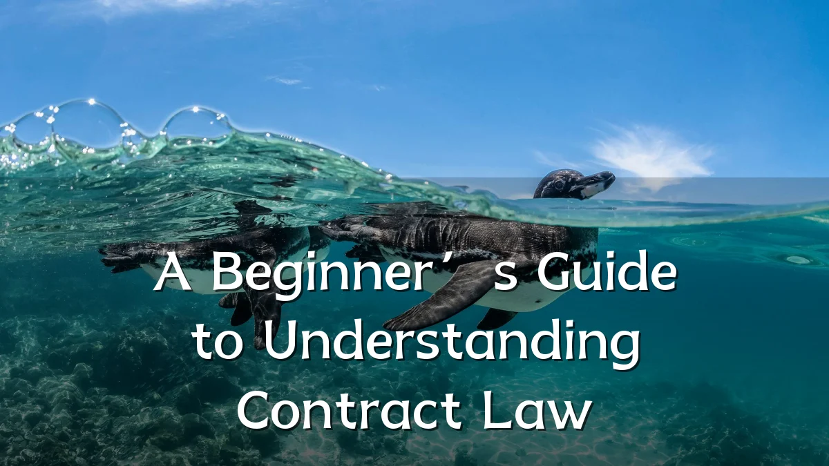 A Beginner’s Guide to Understanding Contract Law