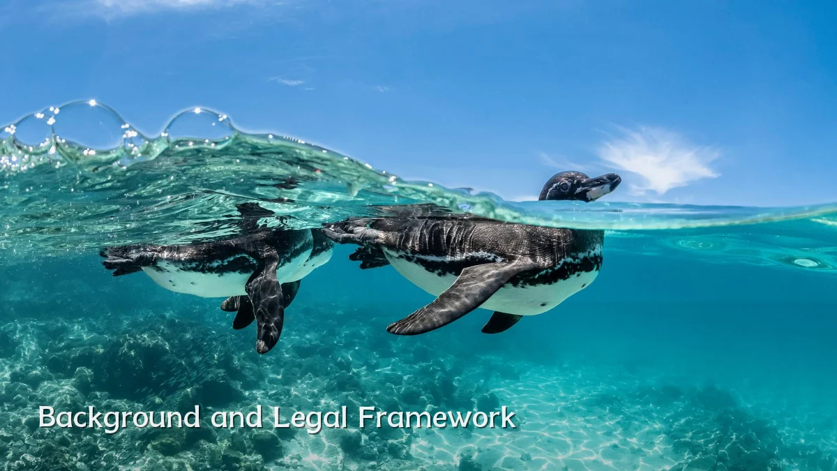 Background and Legal Framework