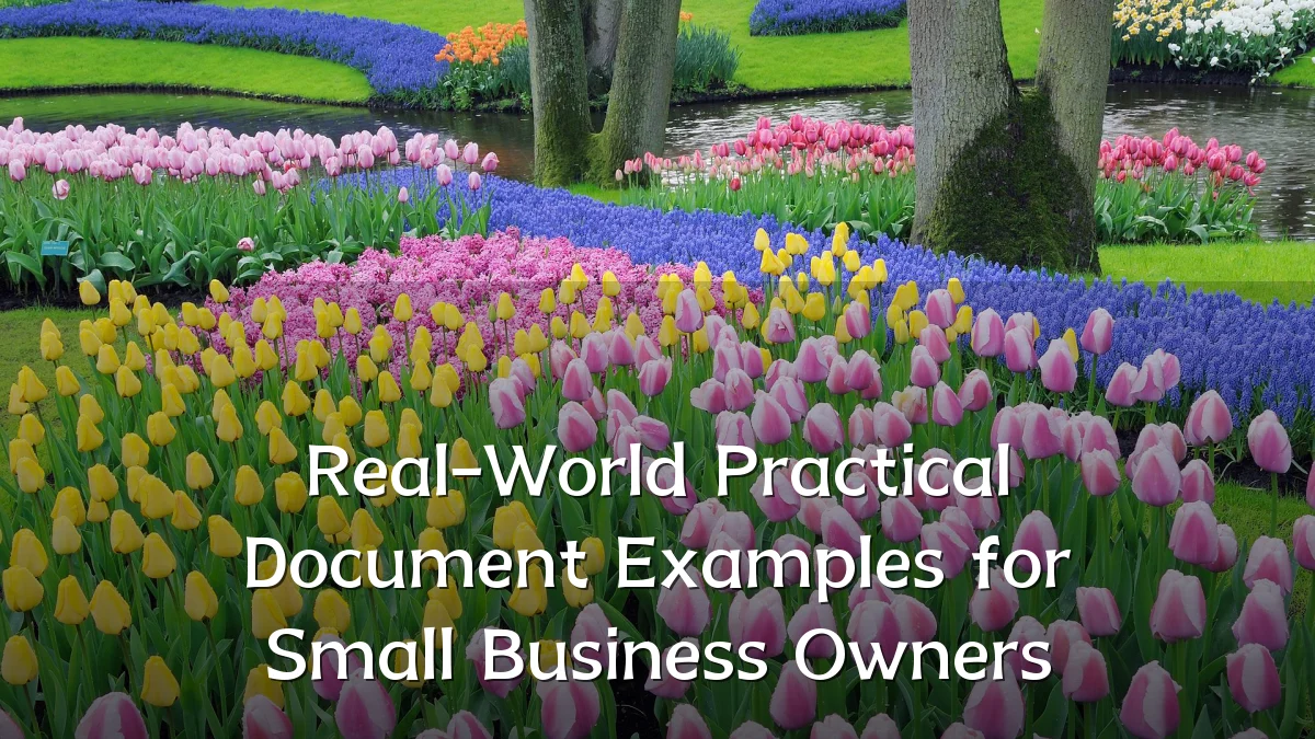 Real-World Practical Document Examples for Small Business Owners