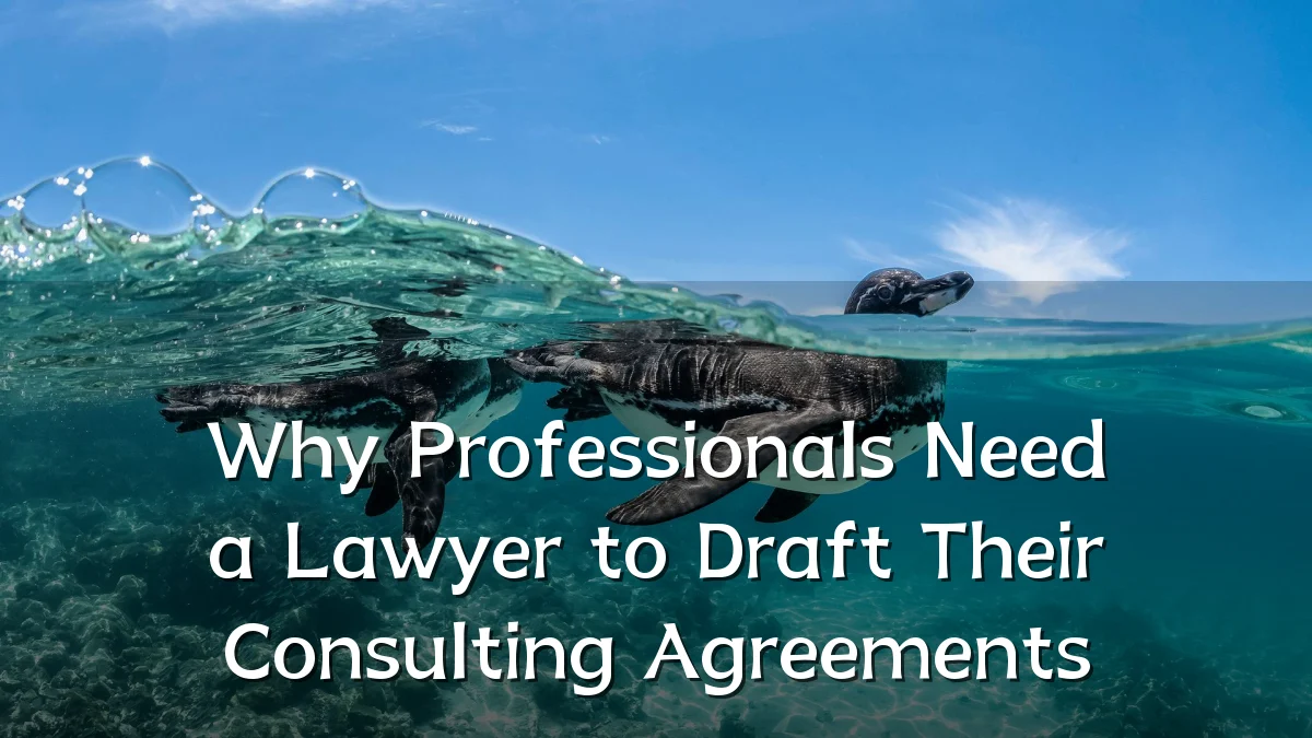 Why Professionals Need a Lawyer to Draft Their Consulting Agreements