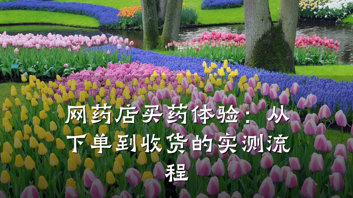 网药店买药体验:从下单到收货的实测流程