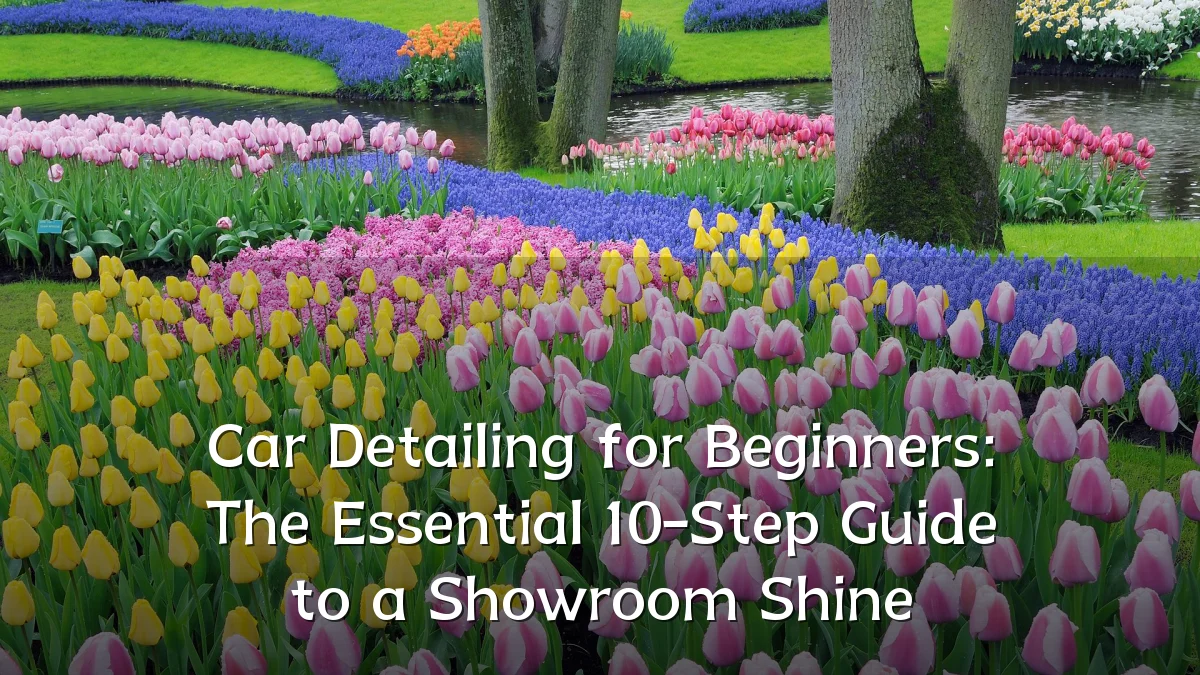 Car Detailing for Beginners: The Essential 10-Step Guide to a Showroom Shine