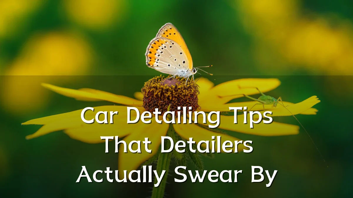Car Detailing Tips That Detailers Actually Swear By